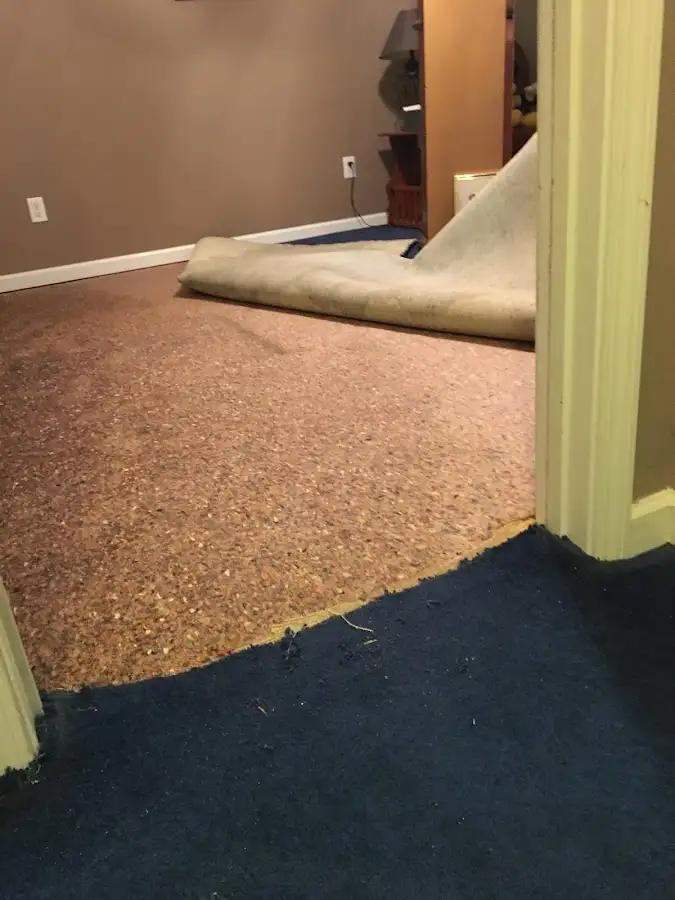 Carpet pad removal revealing water damage during Water Mitigation Services in Gloucester City
